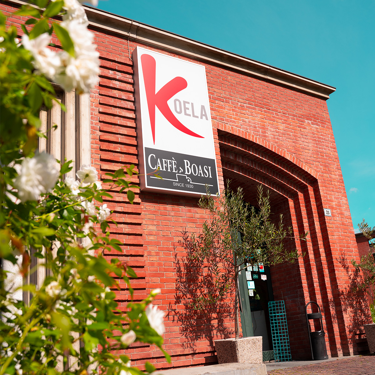 Koela Cafè Alessandria - Colazioni - Pranzi e Aperitivi